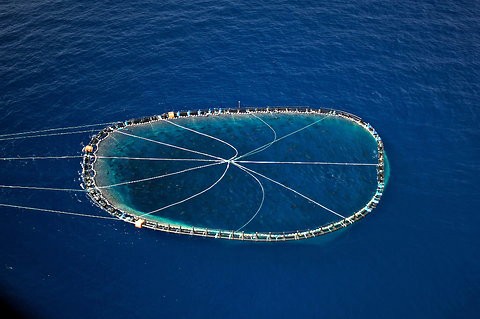 Utilisation de réseaux neuronaux profonds et d'images PlanetScope pour suivre la pêche illégale au thon en Méditerranée [EN] 